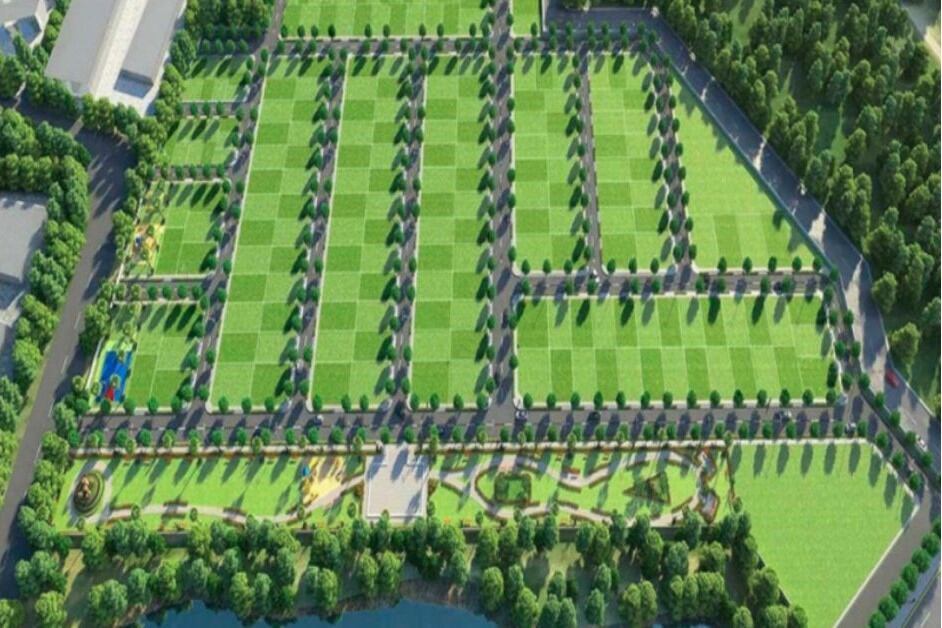 Sushma Orchards Images